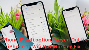 iphone 11 wifi option Greyed Out fix/iPhone 11 Wifi Not Turning On 2 Fix iPhone 11 Wifi Greyed Out/Not Turning On Issue